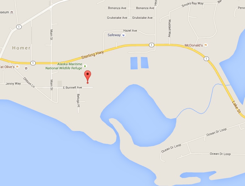 homer medical center